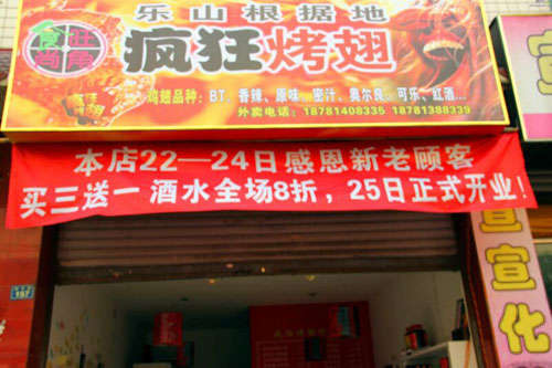 乐安新奥尔良烤翅
